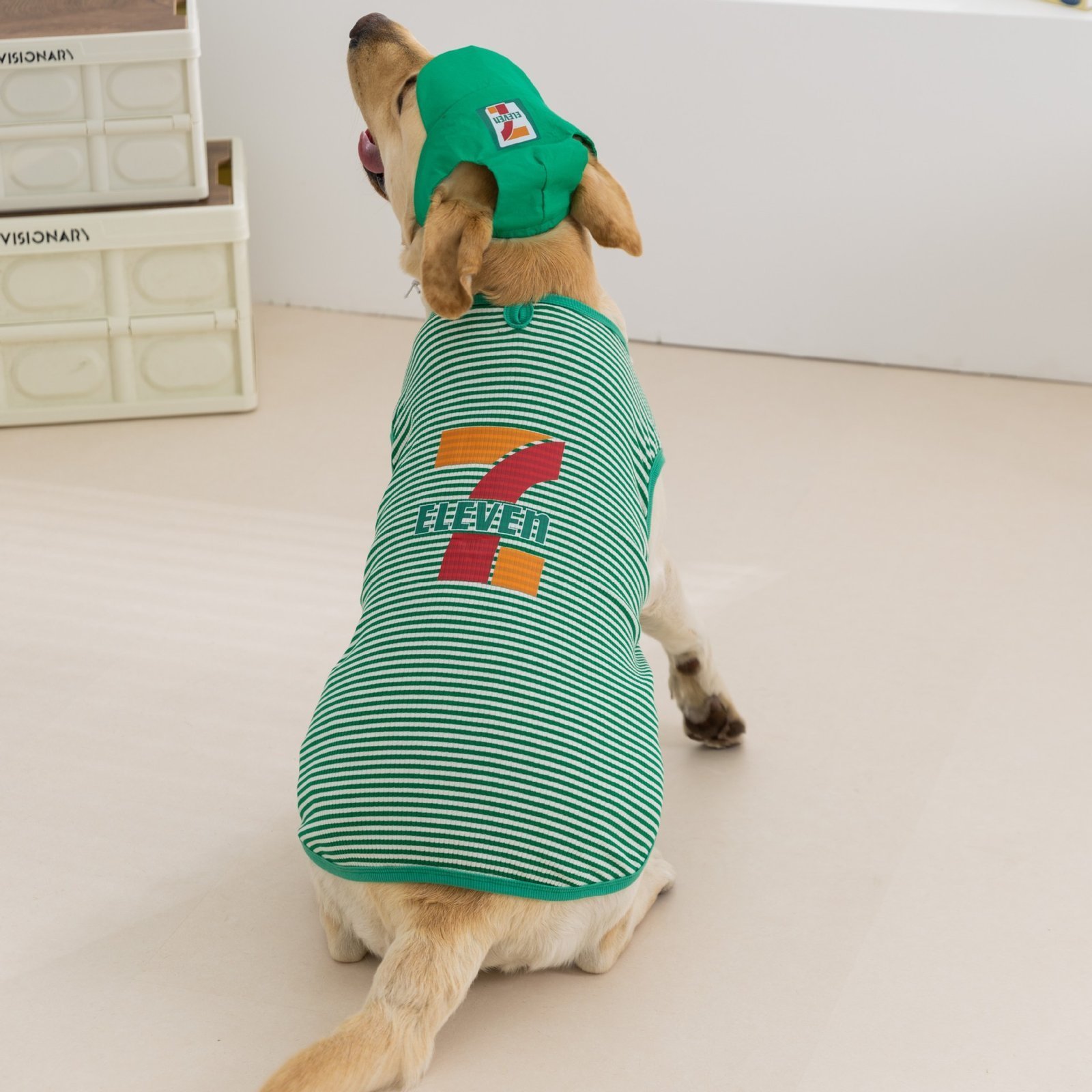 主图_1 Spring & Summer Striped Lightweight Hooded Vest Set for Large Dog Breeds (Golden Retriever, Labrador Retriever) – Bild 1