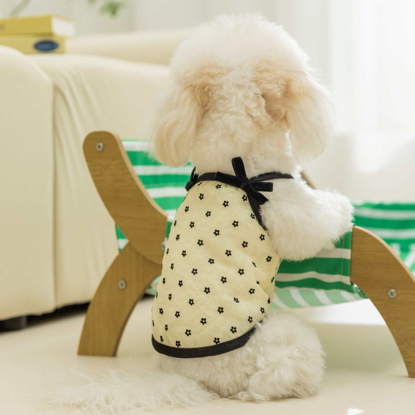 主图_1 Spring & Summer Mesh Polka Dot Bowknot Vest for Small & Medium Dogs – Bild 1