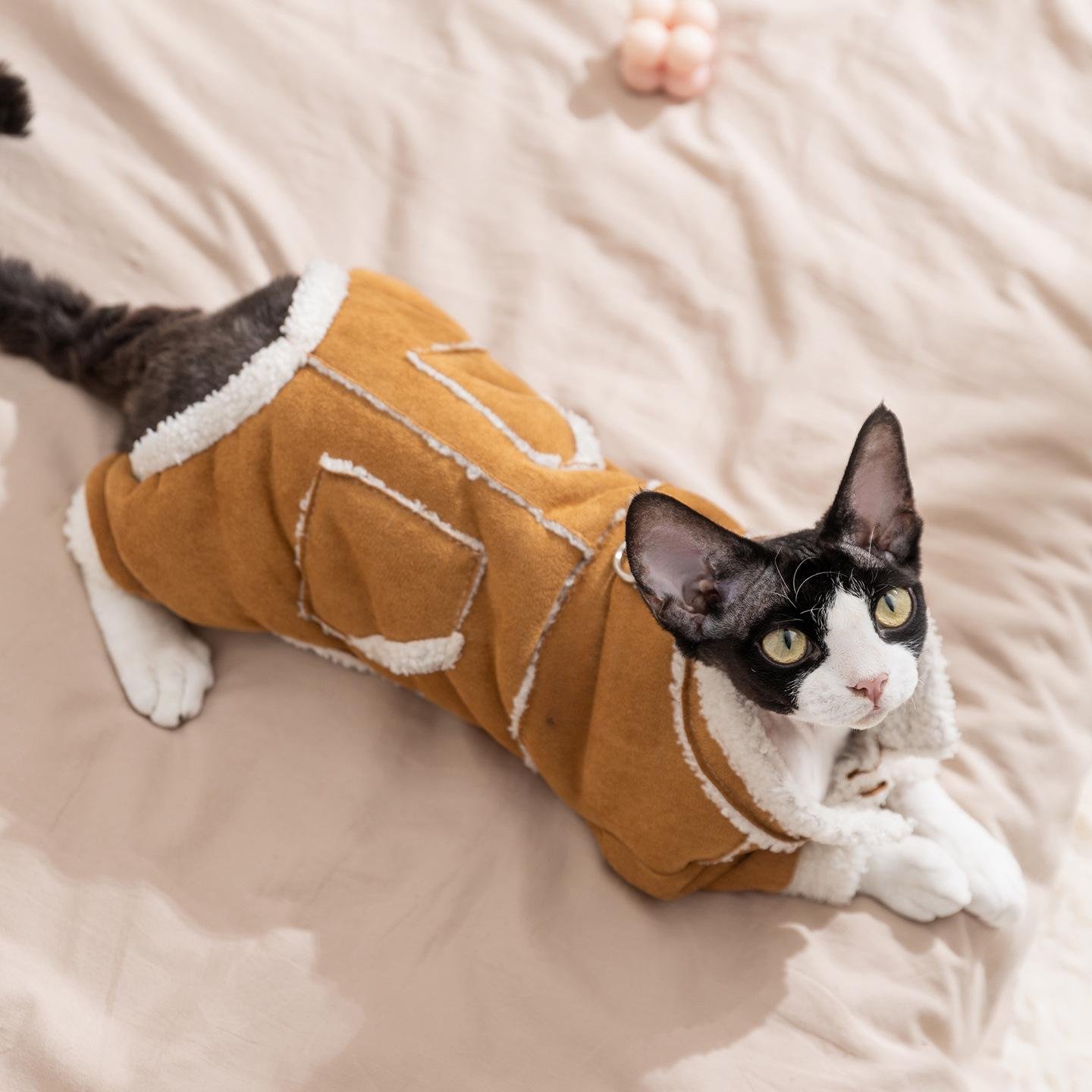 主图_1_2025-12-22_22-27-25 Autumn & Winter Thickened Warm Faux Suede 4-Legged Cotton Padded Pet Apparel for Kittens and Puppies - Image 1