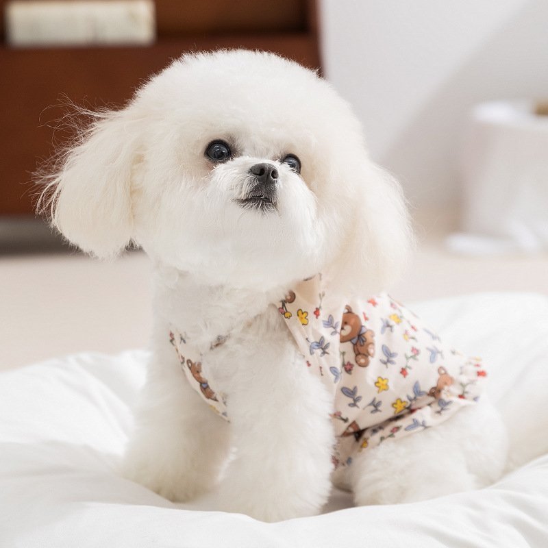 主图_2 Spring & Summer Pet Dress for Cats & Dogs, Cute All-Over Bear & Floral Print with Pumpkin Pendant – Bild 1