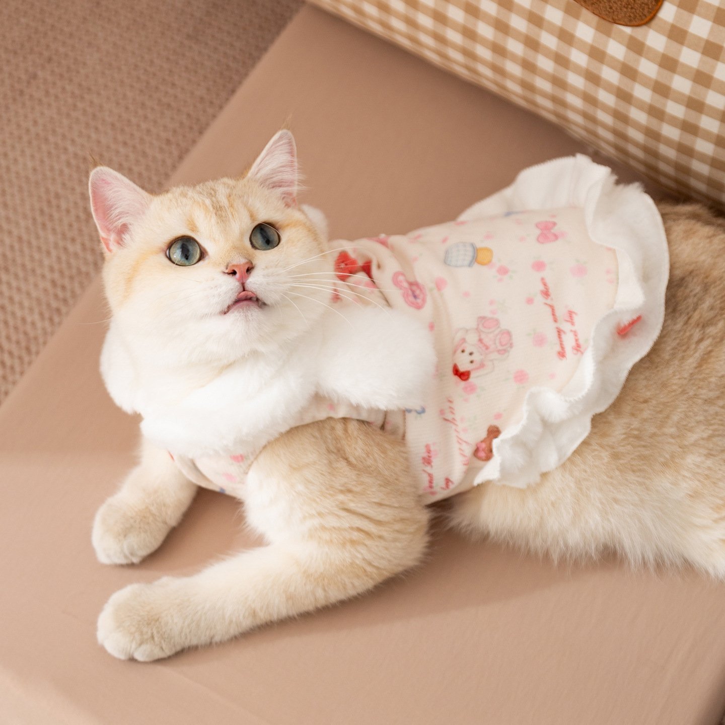 主图_4 Princess-Style Rabbit Ear Harness Dress, Thickened Warm Pet Winter Apparel - Image 1