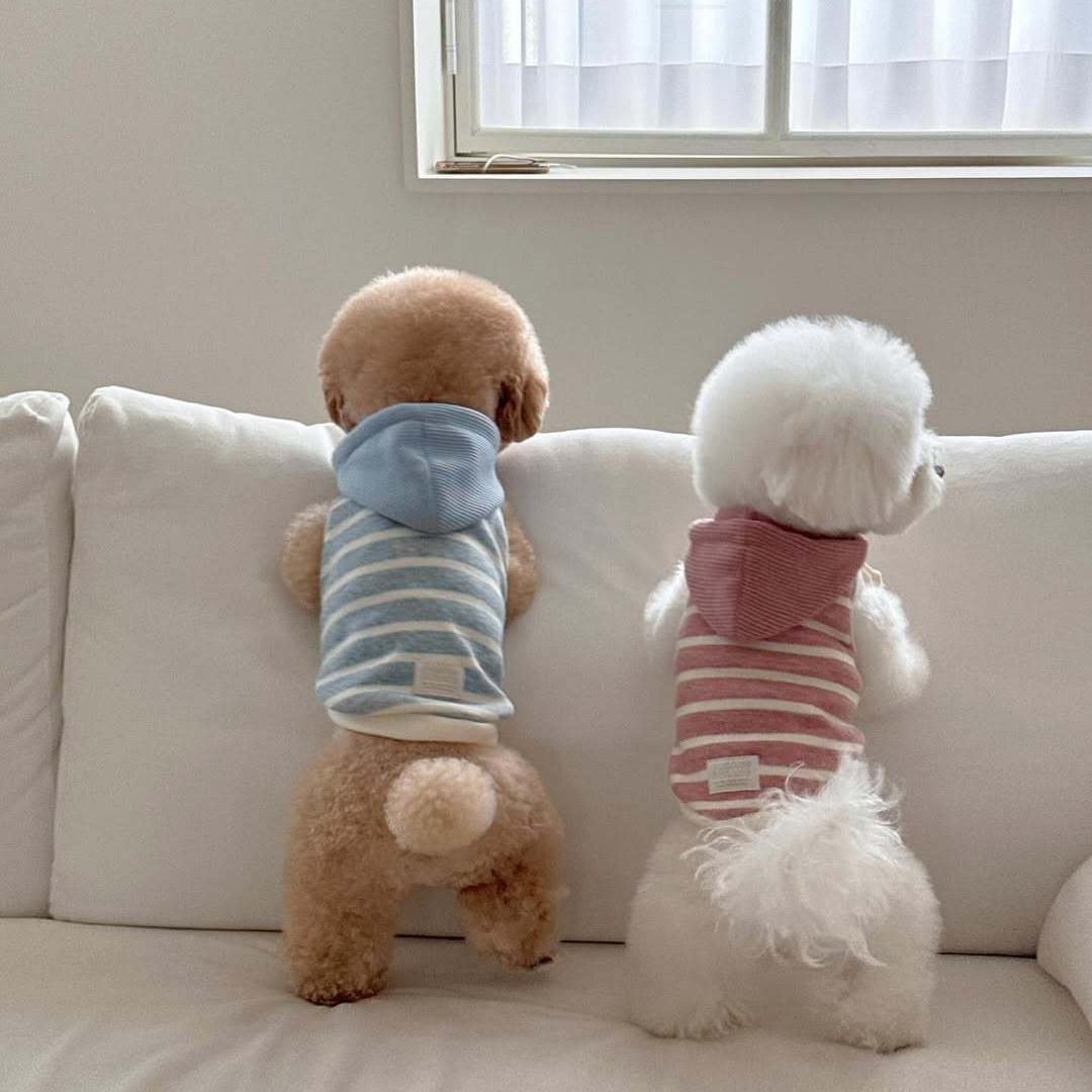 主图_7 New Arrival Autumn Dog Hooded Vest with Colorful Stripes, Sleeveless Pet Apparel for Small & Medium Dogs and Cats - Image 1